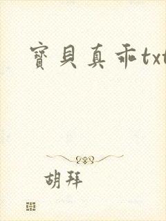 宝贝真乖txt