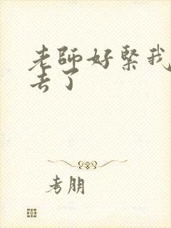 老师好紧我要进去了封面
