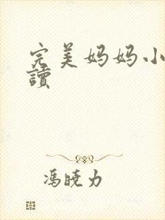 完美妈妈小说阅读封面