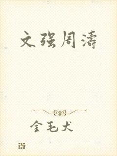 文强周涛
