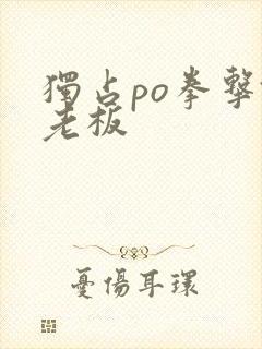 独占po拳击馆老板
