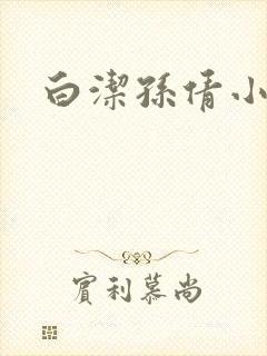 白洁孙倩小说封面