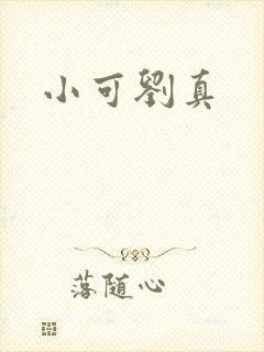 小可刘真封面