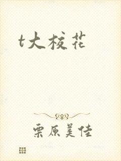 t大校花