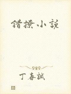 错撩小说