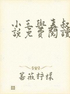 小玉与表叔的小说免费阅读封面