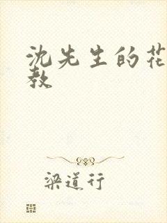 沈先生的花式调教