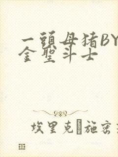 一头母猪BY黄金圣斗士封面