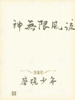 神无限风流封面