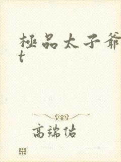 极品太子爷txt