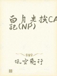 白月光挨CAO记(NP)封面