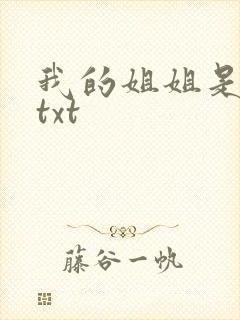 我的姐姐是美女txt