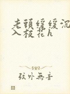 老头缓缓沉腰进入校花h