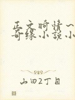 正文畸情～内裤奇缘小说小茹