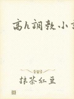 高h调教小说封面