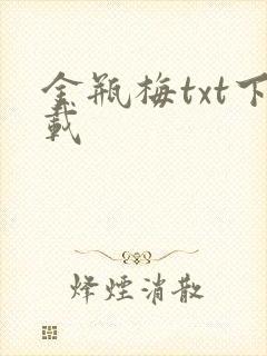 金瓶梅txt下载