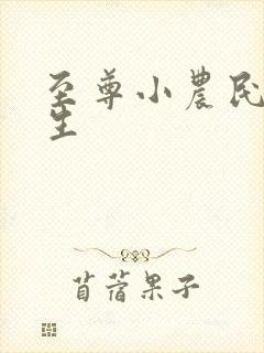 至尊小农民王木生