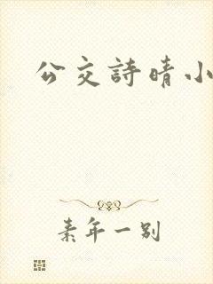 公交诗晴小说