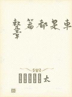 整篇都是车的文章