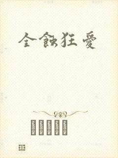 全蚀狂爱封面