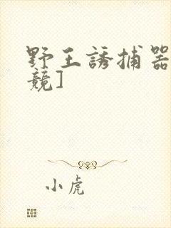野王诱捕器[电竞]封面