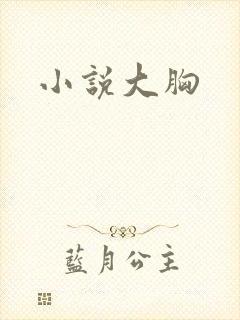 小说大胸