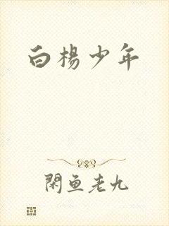 白杨少年