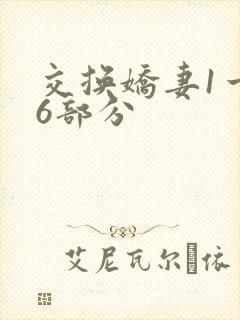交换娇妻1一36部分