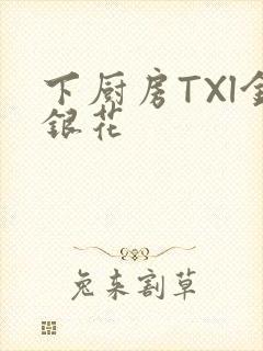 下厨房TXl金银花