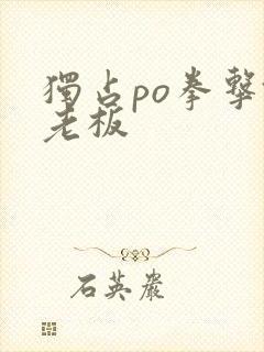 独占po拳击馆老板