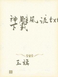 神雕风流txt下载封面