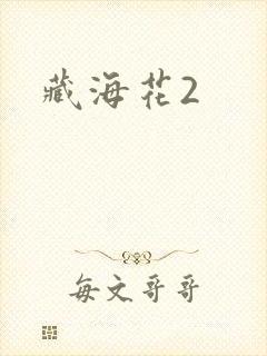 藏海花2