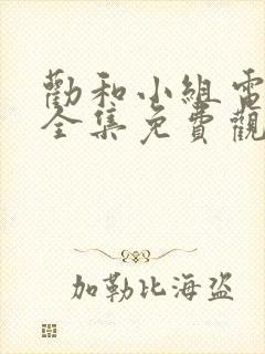劝和小组电视剧全集免费观看