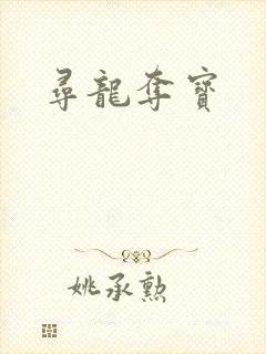 寻龙夺宝