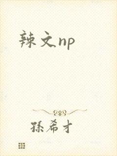 辣文np封面