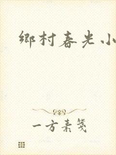 乡村春光小说