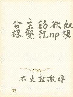公主的欲奴h四根双龙np视频