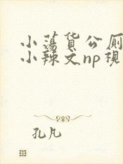 小荡货公厕h文小辣文np视频