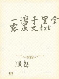 一泻千里金银花露原文txt封面