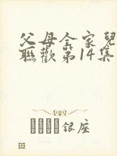 父母全家儿女大联欢第14集封面