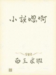 小说嗯啊封面