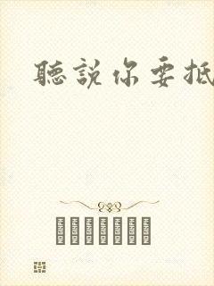 听说你要抵抗我封面