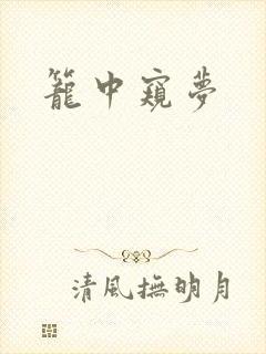 笼中窥梦