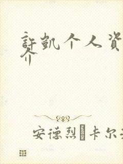 许凯个人资料简介