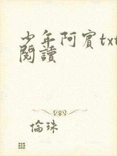 少年阿宾txt阅读封面