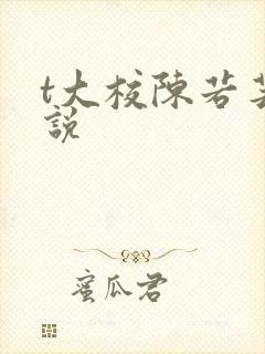 t大校陈若芸小说