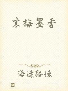 寒梅墨香封面