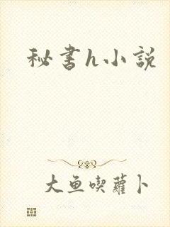 秘书h小说