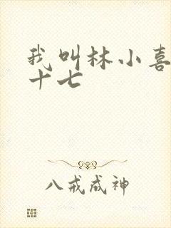 我叫林小喜今年十七