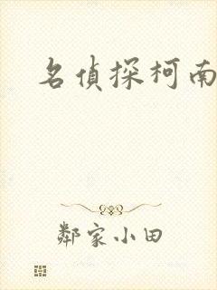 名侦探柯南h封面
